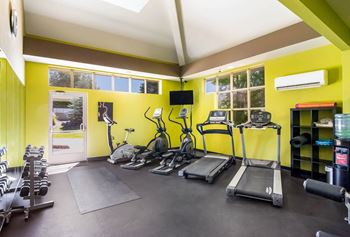 Cardio machines in gym